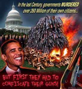David_Dees_Obama_and_Gun_Confiscation